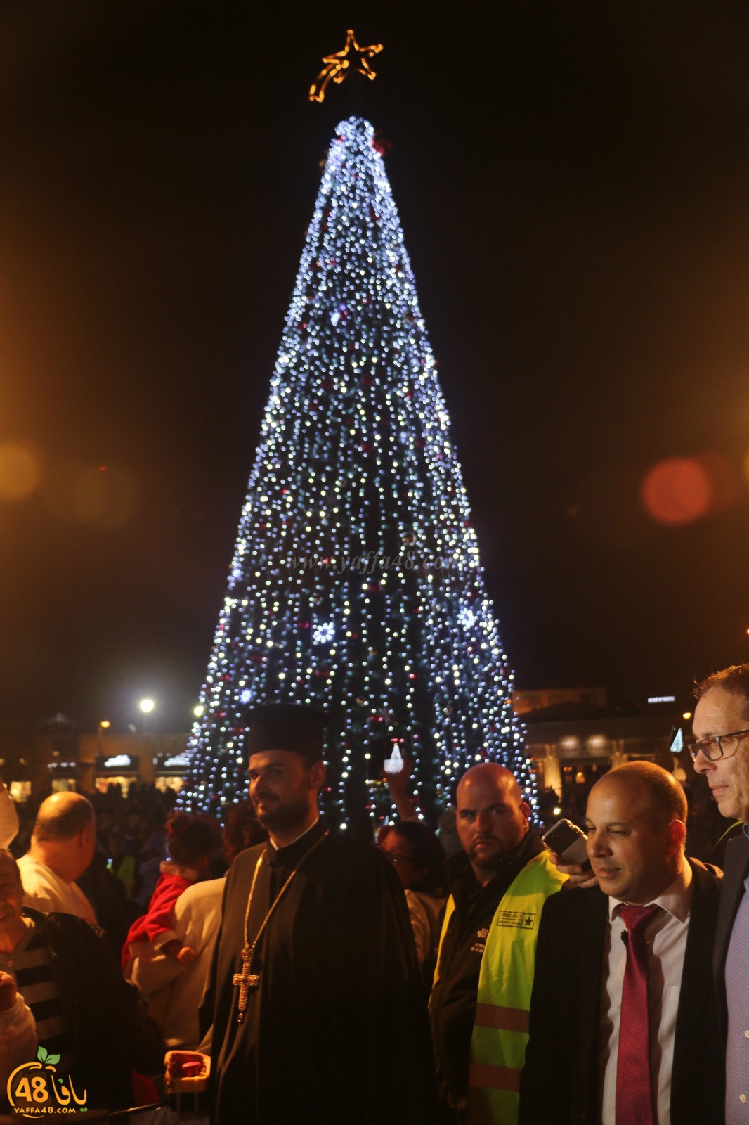 tree yaffa 5th (53).jpg